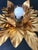 Hollywood Regency Gold-Plated Florentine Floral Wall Lamps from Hans Kögl, Italy, Florence, 1960, Set of 2 For Sale - Image 14 of 17