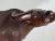 Wood Mid Century Large Hand Carved Water Buffalo For Sale - Image 7 of 8