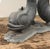 Gray Italian Bronze Sea Serpent Table For Sale - Image 8 of 9