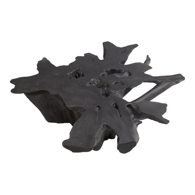 Black Burnt Organic Teak Root Coffee Table 75 For Sale