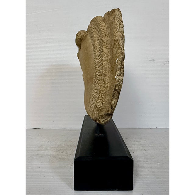 Sculpture Materials Mid 20th Century Horse Head Casted Sculpture For Sale - Image 7 of 12