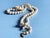 Vintage Mid Century Japanese Glass Faux Pearl Necklace With Filigree Fishhook Clasp For Sale - Image 9 of 10