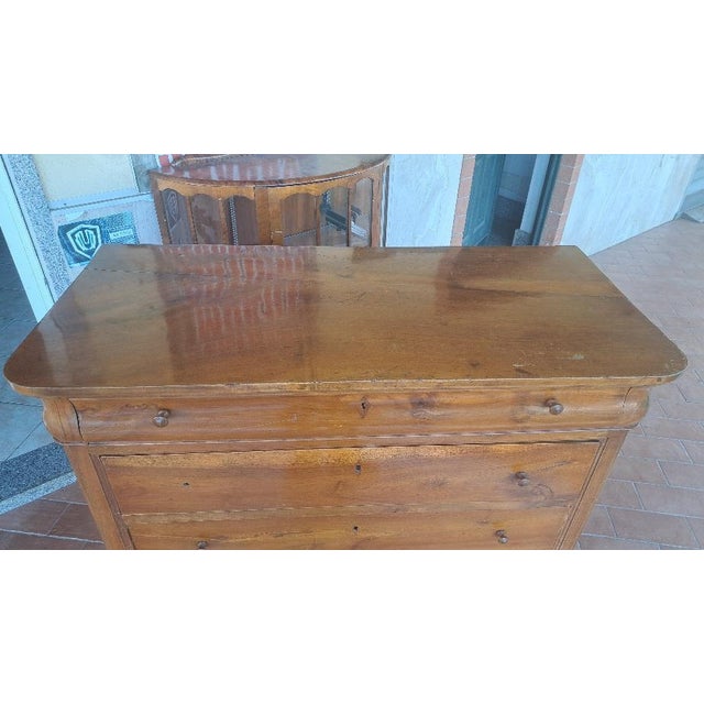 Cappuccino Chest of Drawers in Walnut For Sale - Image 4 of 8