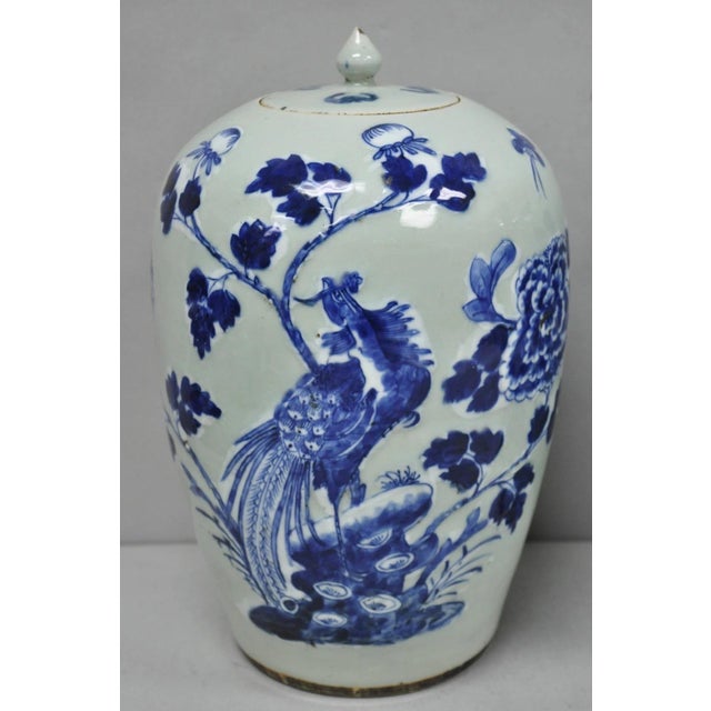 Chinoiserie Antique Chinese Phoenix Bird Celadon Green Porcelain Covered Ginger Jar - Pair For Sale - Image 3 of 18