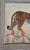 Vintage Indian Tiger Wall Hanging, 1980s For Sale - Image 3 of 7