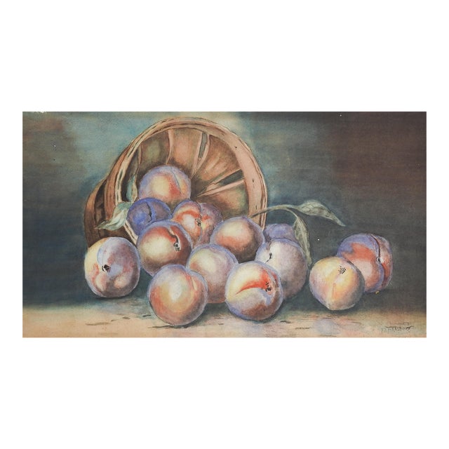 Antique Still Life Plums Peaches Watercolor Painting For Sale