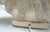 C1980's Palm Beach Chic Nautilus Shell Table Lamps- A Pair For Sale - Image 18 of 18
