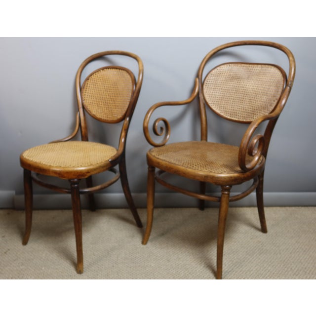 Wood Chairs and Armchairs by Michael Thonet for Thonet, 1890s, Set of 11 For Sale - Image 7 of 10