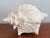 1960s Large Ceramic Conch Shell For Sale - Image 5 of 10