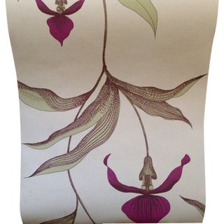 Cole & Son Wallpaper - 4 Rolls For Sale