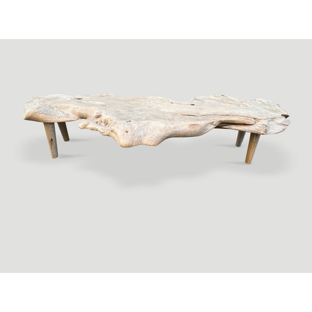 Andrianna Shamaris Sculptural Organic Teak Wood Coffee Table For Sale - Image 18 of 18