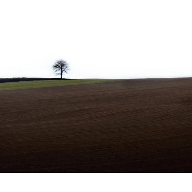 Loneliness - signed limited edition archival pigment print, 2011 - edition of 8 this is an archival pigment print on fiber...