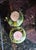 Cream Mid 20th Century Italian Majolica Artichoke Tea Set - 5 Pieces For Sale - Image 8 of 11