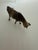This is a collection of 7 antique metal animal figurines. The pig, sheep, goat and small cow are marked “France.” The...