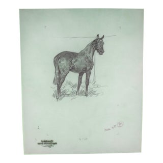Paul Brown Polo Pencil on Acetate Drawing 15 For Sale