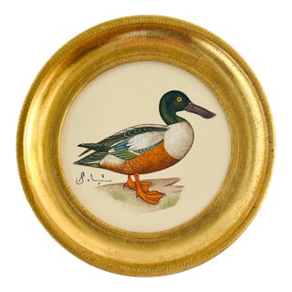 Original Hand-Painted Mallard Miniature Painting in an Italian Vintage Frame For Sale