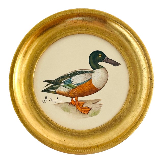 Original Hand-Painted Mallard Miniature Painting in an Italian Vintage Frame For Sale