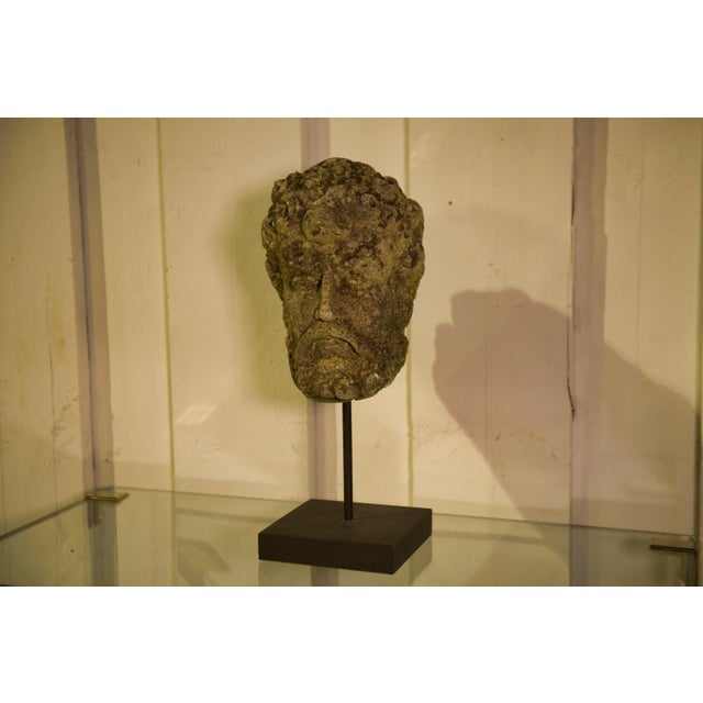 Stone Early 19th Century Neo-Renaissance Stone Head of a Man, 1800s For Sale - Image 7 of 12
