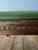 19th Century Antique Cobblers Stool-Carved-Egg and -Dart Trim, Green Leather and Iron Legs. For Sale - Image 9 of 12