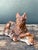 Vintage Distressed Plaster Dog For Sale In West Palm - Image 6 of 12