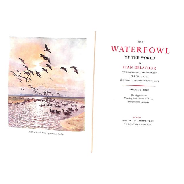 1950s "The Waterfowl of the World: Volumes One & Two" 1956 Delacour, Jean For Sale - Image 5 of 17