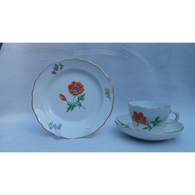Vintage Porcelain Coffee Tea Trio in Red Anemone from Meissen, 1970s, Set of 3 For Sale - Image 16 of 16