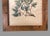 Rustic Antique Custom Rustic Country Framed Botanical Flower Print For Sale - Image 3 of 8