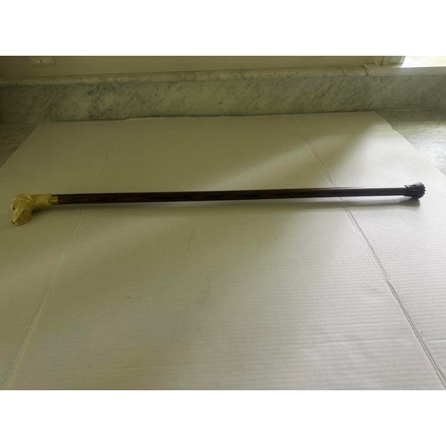 1950s Vintage Cane/Walking Stick With Yellow Lab Head For Sale - Image 5 of 5