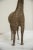 Vintage African Bronze Giraffe For Sale - Image 4 of 7