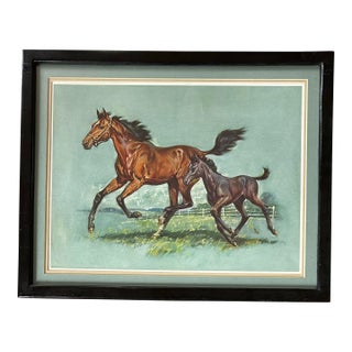 Vintage 1961 Framed Print of a Horse Running With Colt For Sale