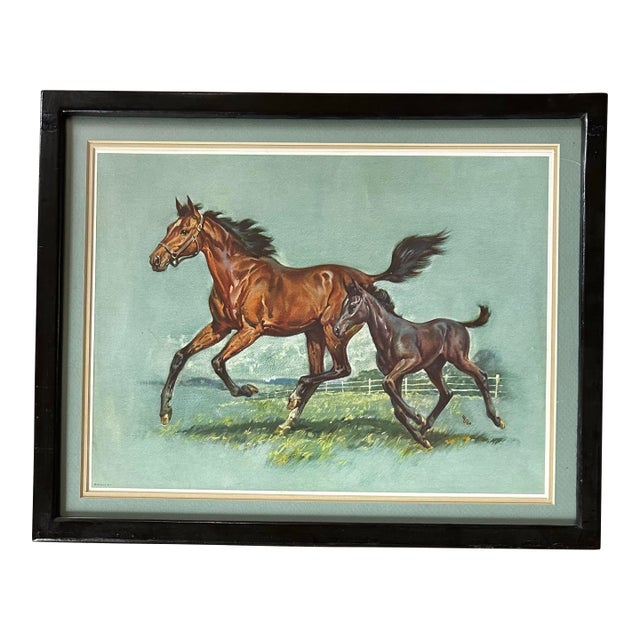 Vintage 1961 Framed Print of a Horse Running With Colt For Sale