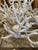 Eye catching glamorous candle holder that looks like white coral, realistically created out of iron, having five 3.5”...