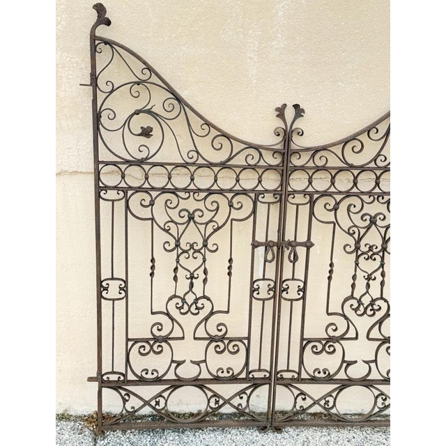 Late 19th Century Antique Spanish Renaissance Scrolling Wrought Iron 57 X 47 Garden Entry Gate Set For Sale - Image 5 of 18