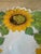 Vintage 13.5” Italian Sunflower Incised, Glazed Handpainted Terracotta Platter For Sale In Los Angeles - Image 6 of 16