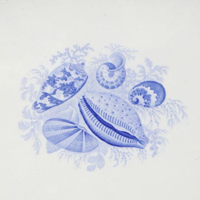 Antique 19th century Staffordshire blue and brown transferware platter by Thomas Dimmock Co. Decorated with blue sea...