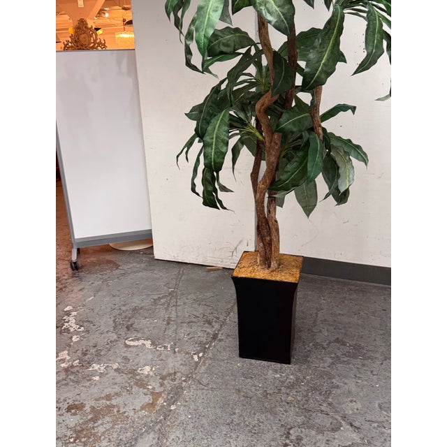 Safari Faux Bird Nest Palm + Black Tapered Planter For Sale - Image 3 of 12