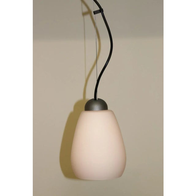 Murano 1990s Rosanna Toso Murano Pendant Lamp Rose Glass For Sale - Image 4 of 9