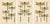 Dragonflies of Central Europe, 1908, Lithograph, Set of 3 For Sale