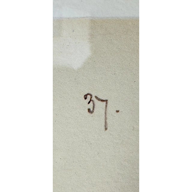 Printmaking Materials John Gould Pheasants "Phasianus Soemmeringii" Large Lithograph, Framed For Sale - Image 7 of 10