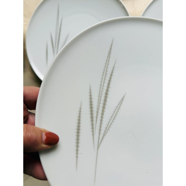 1950s Vintage Heinrich & Co. Bavaria Porcelain Dinner Plates – Grazie Pattern – 9.75 - Set of 10 For Sale - Image 5 of 12