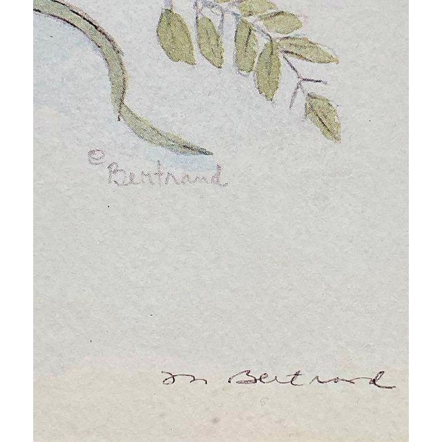 Original Mary Bertrand Botanical Watercolor Painting, Signed and Numbered, Custom Framed For Sale - Image 9 of 12