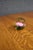 Late 20th Century Måts Jonasson Swedish Art Glass Pink Rose Paperweight For Sale - Image 5 of 6