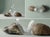 Contemporary Sculptural Crystal Vase With Natural Stone – One of a Kind Coffee Table Art For Sale - Image 3 of 8