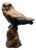 H. Sieloff, Resting Owl, 1920s, Bronze For Sale