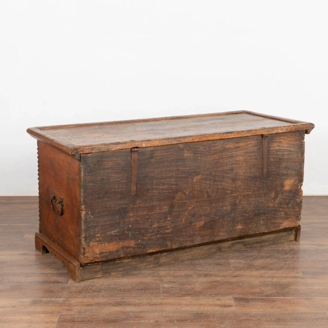 Hand Carved Large Pine Trunk, Circa 1800 For Sale - Image 12 of 12