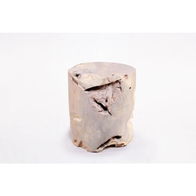 2020s Bleached White Teak Root Accent or Side Table or Stool 36 For Sale - Image 5 of 5