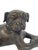 Traditional Antique Solid Bronze Bulldog Sculpture, Late 19th–Early 20th Century For Sale - Image 3 of 12