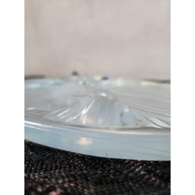 Art Deco Opalescent Glass Fish Trivet from Verlys, 1930s For Sale - Image 11 of 14