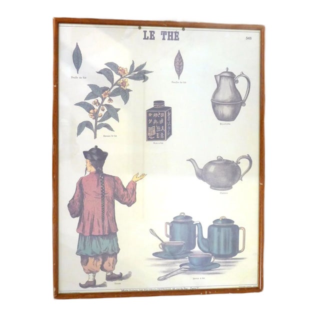 Mid-Century French Educational Poster on Tea For Sale