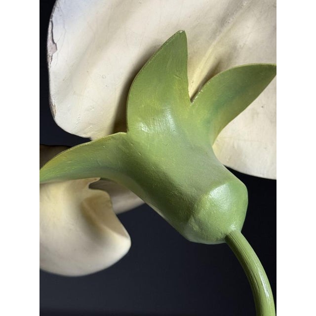 German Botanical Flower Model, 1900 For Sale - Image 16 of 18